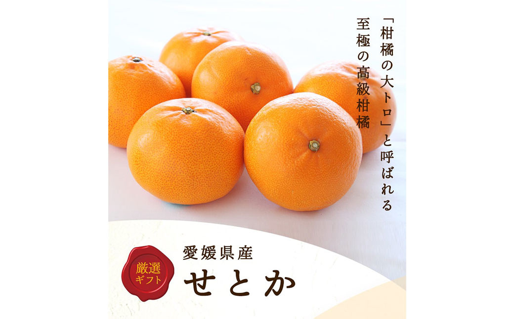 せとか 4L~L 約5kg (821)