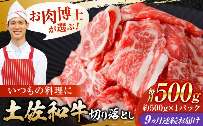 【9回定期便】高知県産 土佐和牛 切り落とし 炒め物 すき焼き用 約500g 総計約4.5kg 牛肉 切落しすきやき 国産 【(