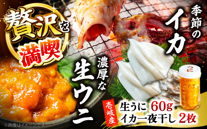 おすすめ オススメ 人気  贈り物  イカ 烏賊 おつまみ ウニ 海産