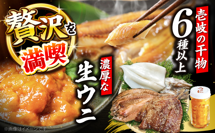 人気   うに ウニ 雲丹  新鮮 海鮮 特産品 贈り物 ギフト   魚介 ごは