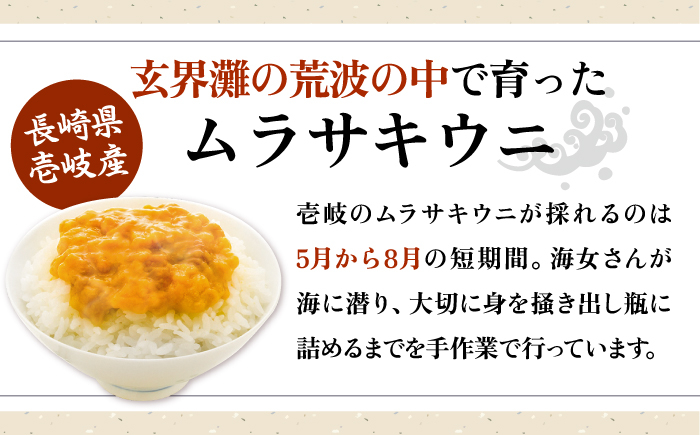 おすすめ オススメ 人気  贈り物  イカ 烏賊 おつまみ ウニ 海産
