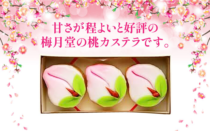 桃カステラ 梅月堂 長崎