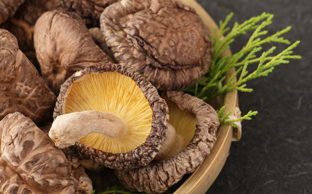 【6ヶ月定期便】大分産原木乾椎茸どんこ 70g 合計420g