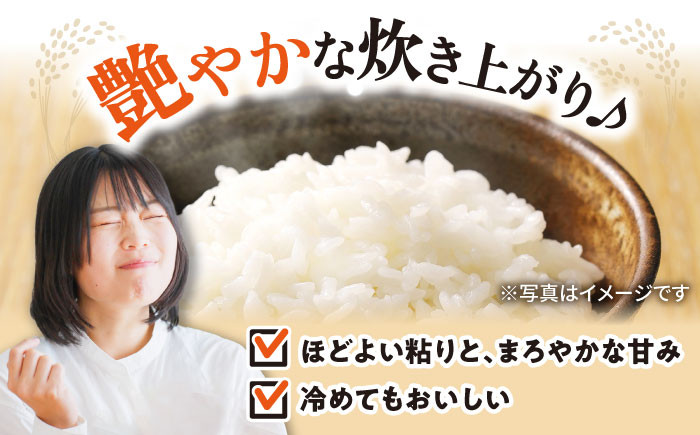 【選べる容量】 滋賀県湖北産 湖北のみずかがみ 4.5・9.0・18・27kg (白米)　米 お米 ご飯 ごはん ゴハン