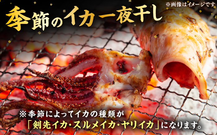 おすすめ オススメ 人気  贈り物  イカ 烏賊 おつまみ ウニ 海産