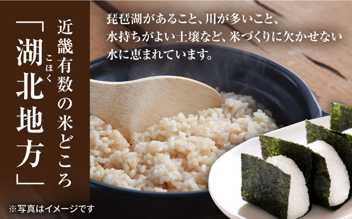 【選べる容量】 滋賀県湖北産 湖北のみずかがみ 4.5・9.0・18・27kg (白米)　米 お米 ご飯 ごはん ゴハン