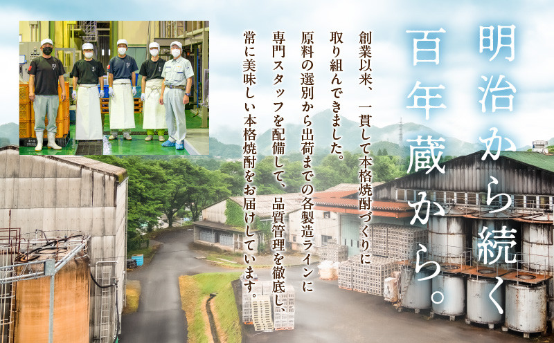 高千穂熟成梅酒300ml×3本と爽やかな日向夏みかん酒300ml×3本のセット！