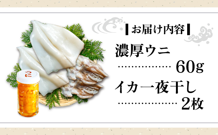 おすすめ オススメ 人気  贈り物  イカ 烏賊 おつまみ ウニ 海産
