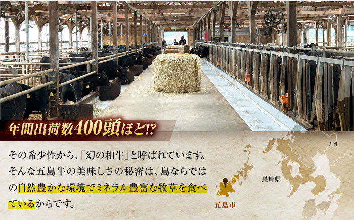 冷凍 牛肉 ブランド牛 和牛 長崎和牛 ホルモン 贈答 高級 贈り物 贅沢