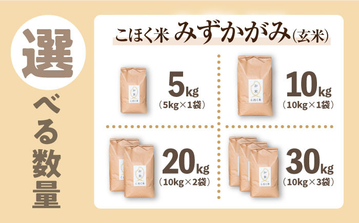 【選べる容量】 滋賀県湖北産 湖北のみずかがみ 5・10・20・30kg(玄米)　米 お米 ご飯 ごはん ゴハン