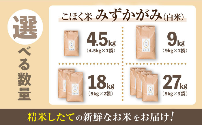 【選べる容量】 滋賀県湖北産 湖北のみずかがみ 4.5・9.0・18・27kg (白米)　米 お米 ご飯 ごはん ゴハン