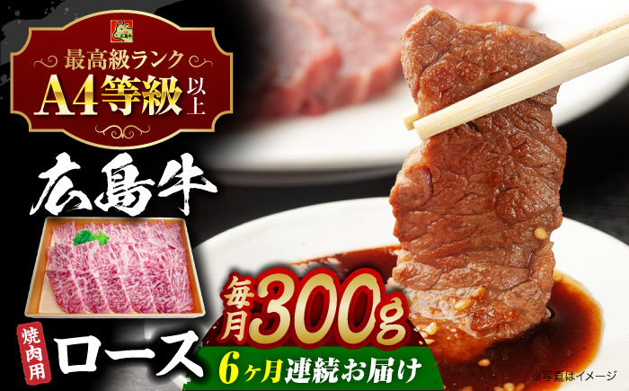 肉 牛肉 和牛 黒毛和牛 高級 広島和牛 霜降り 赤身 国産 A4 A5 等級 