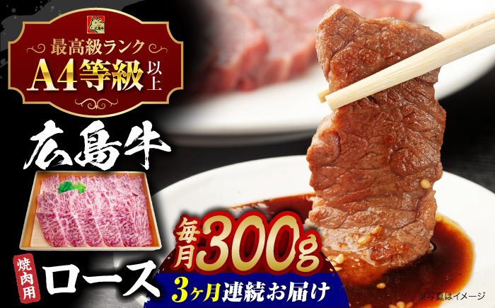肉 牛肉 和牛 黒毛和牛 高級 広島和牛 霜降り 赤身 国産 A4 A5 等級 