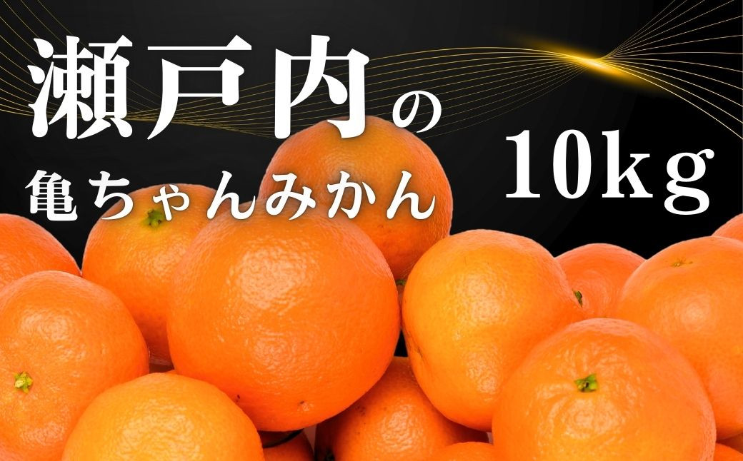 糖度が高くて味が濃い！亀ちゃんみかん約10kg