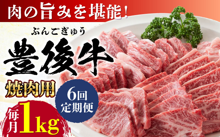 牛肉 おおいた豊後牛 おおいた 豊後牛 黒毛和牛 国産  焼肉 焼肉用