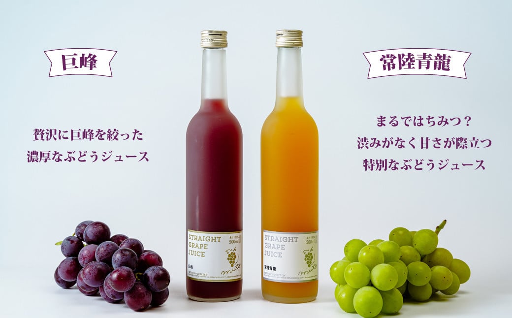 希少品種を使用した贅沢ぶどうジュース2本とぶどうジャムのセット