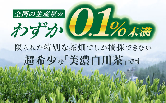 山の希少茶 美濃白川茶 味わいセット お茶 緑茶 茶葉 白川町