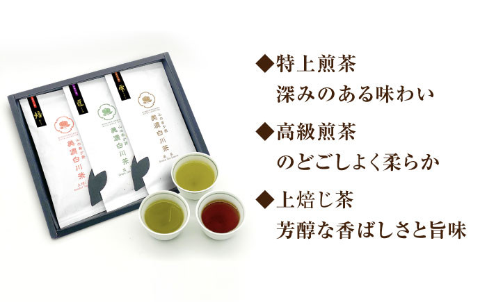 山の希少茶 美濃白川茶 味わいセット お茶 緑茶 茶葉 白川町