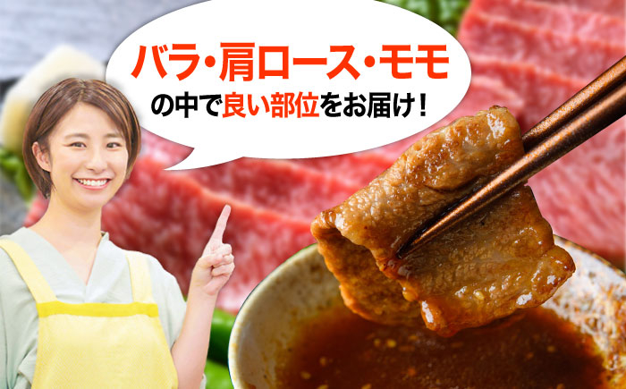 牛肉 おおいた豊後牛 おおいた 豊後牛 黒毛和牛 国産  焼肉 焼肉用