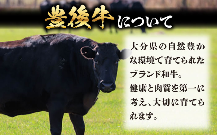 牛肉 おおいた豊後牛 おおいた 豊後牛 黒毛和牛 ステーキ 国産  みすじ ミスジ ミスジステーキ 希少部位 希少