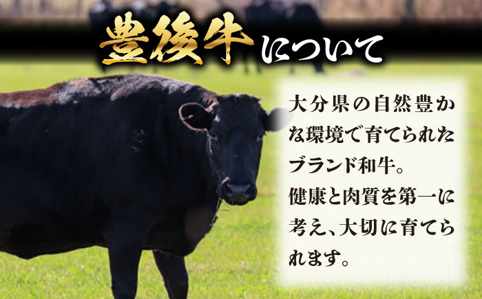 牛肉 おおいた豊後牛 おおいた 豊後牛 黒毛和牛 スライス しゃぶしゃぶすき焼き しゃぶしゃぶ すき焼き