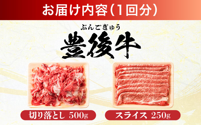 訳あり 牛肉 おおいた豊後牛 おおいた 豊後牛 黒毛和牛 スライス 切り落とし しゃぶしゃぶすき焼き しゃぶしゃぶ すき焼き