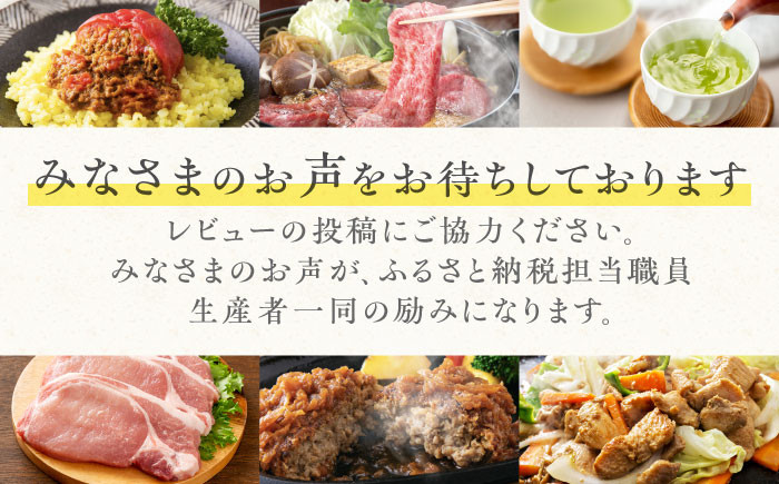 山の希少茶 美濃白川茶 味わいセット お茶 緑茶 茶葉 白川町