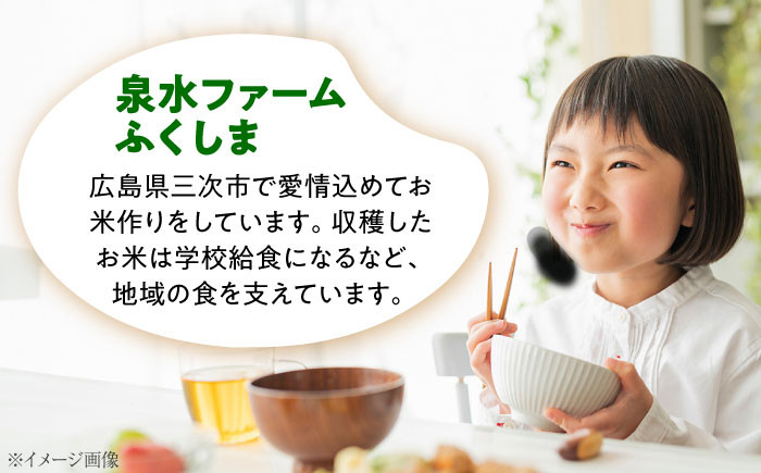 お米 ご飯 白米 おにぎり 米 コシヒカリ 6kg 3kg 2袋 こしひかり