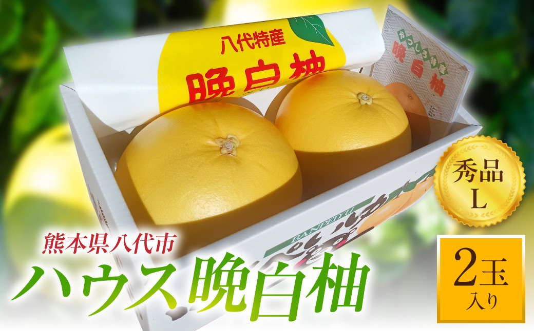 ハウス晩白柚 秀品 Lサイズ 2玉入り