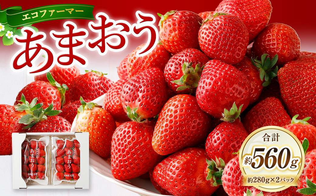 エコファーマー あまおう 約280g×2パック 計560g