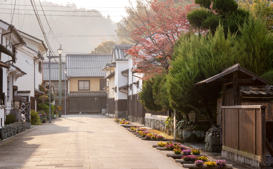 ”プライベートガイドと巡る” 臥龍山荘 と シネマ散策 「10名様」（805）