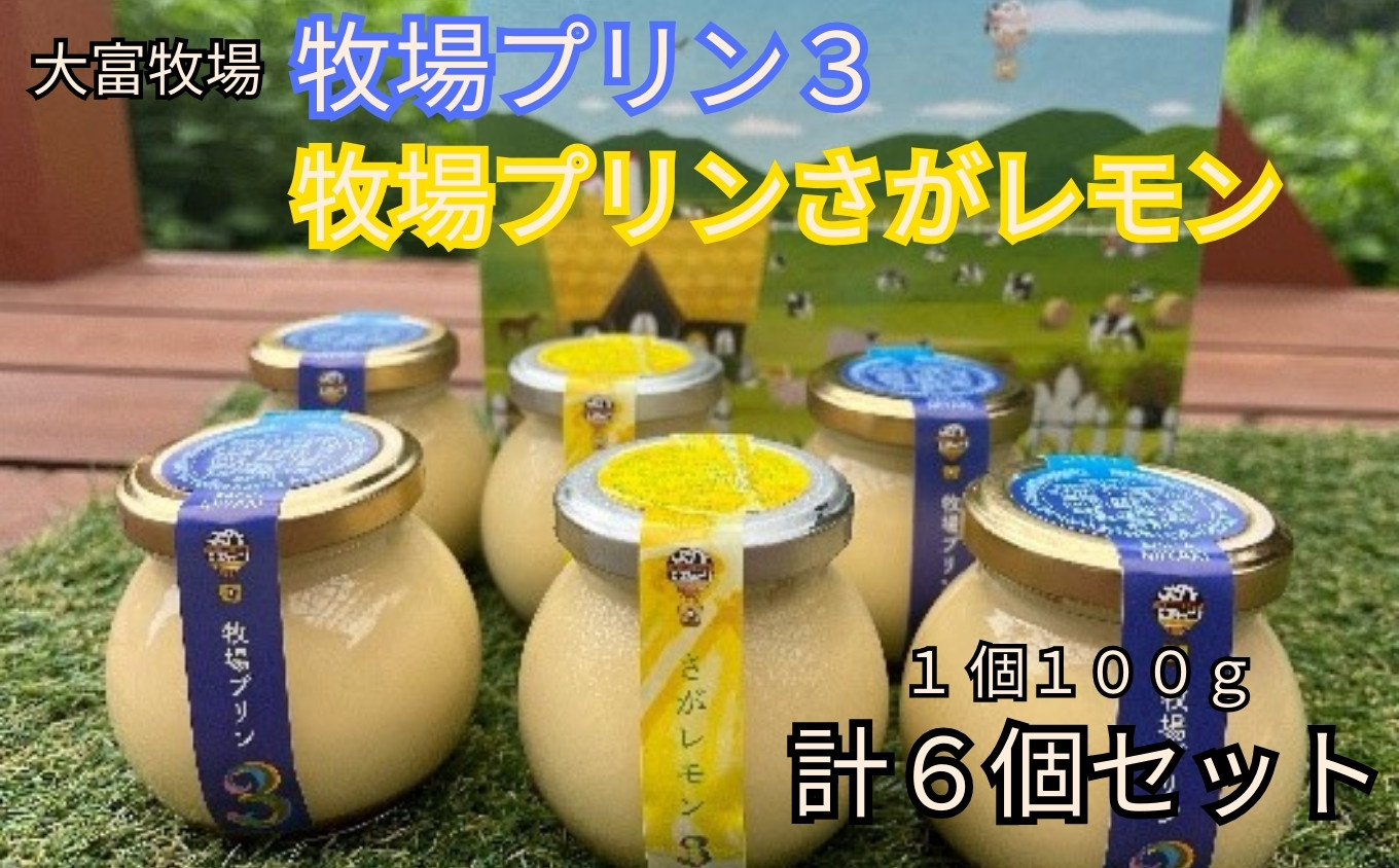 プレーンプリンとさがレモンプリンのセット