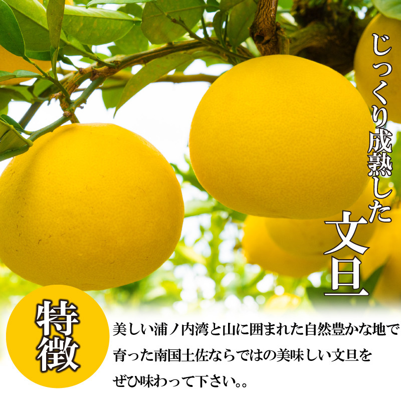 収穫後、畑の野囲い場で藁の中で1~2ヵ月程度熟成させます。 これにより果肉が程よく柔らかくなり甘みがのり美味しく仕上がります。