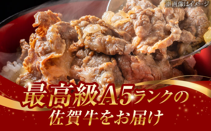 佐賀牛 切り落とし 460g 佐賀県 武雄市 /焼肉どすこい [UCC010] 佐賀県産 牛肉 切り落とし スライス