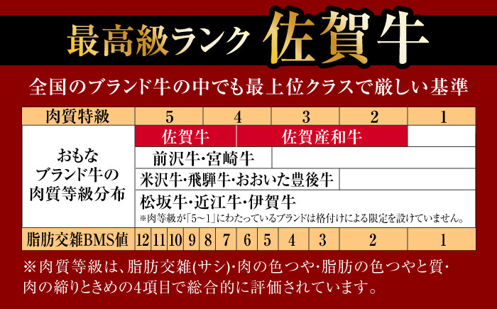 佐賀牛 切り落とし 460g 佐賀県 武雄市 /焼肉どすこい [UCC010] 佐賀県産 牛肉 切り落とし スライス