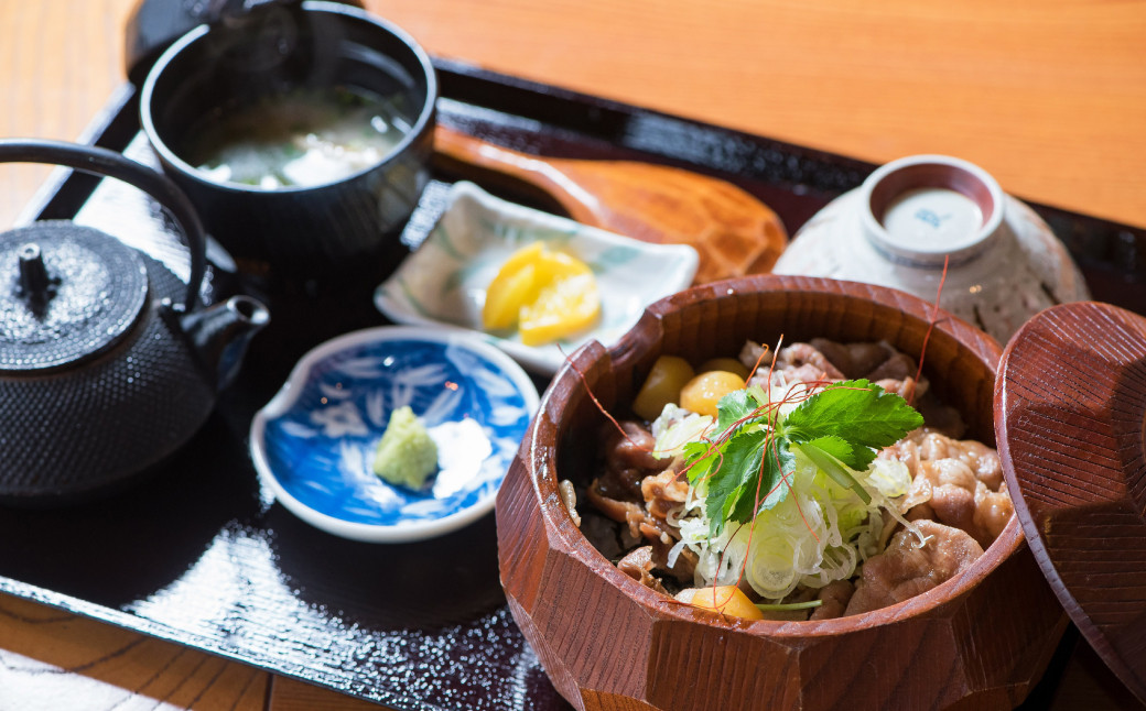 ”プライベートガイドと巡る” 臥龍山荘 と シネマ散策 「10名様」（805）