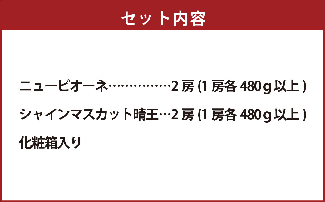 詰合 ニューピオーネ 2房 シャインマスカット 晴王 2房（1房各480g以上）計1.92kg以上 化粧箱入り