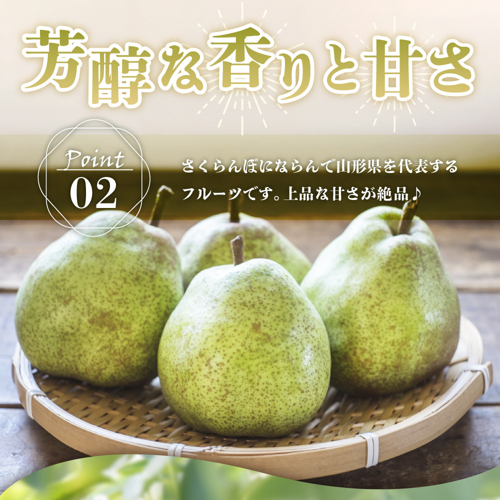 写真はイメージです