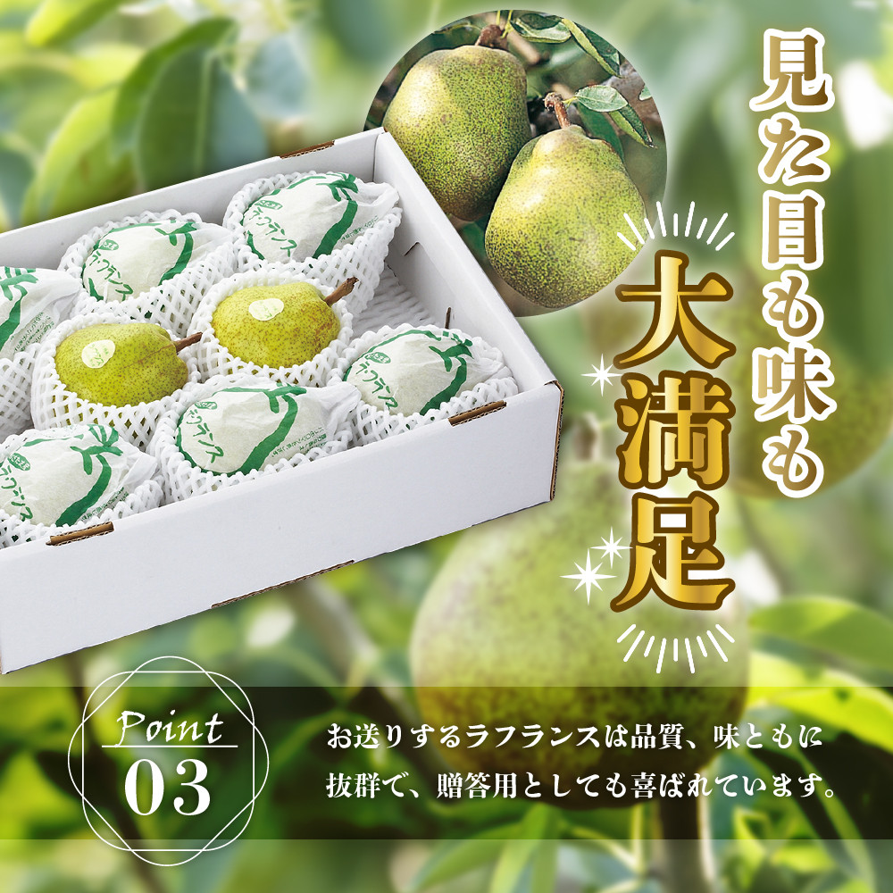 写真はイメージです