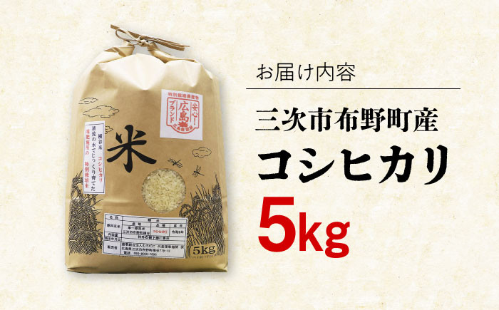 お米 米 ご飯 白米 おにぎり 米 コシヒカリ こしひかり 精米 おこめ こめ
