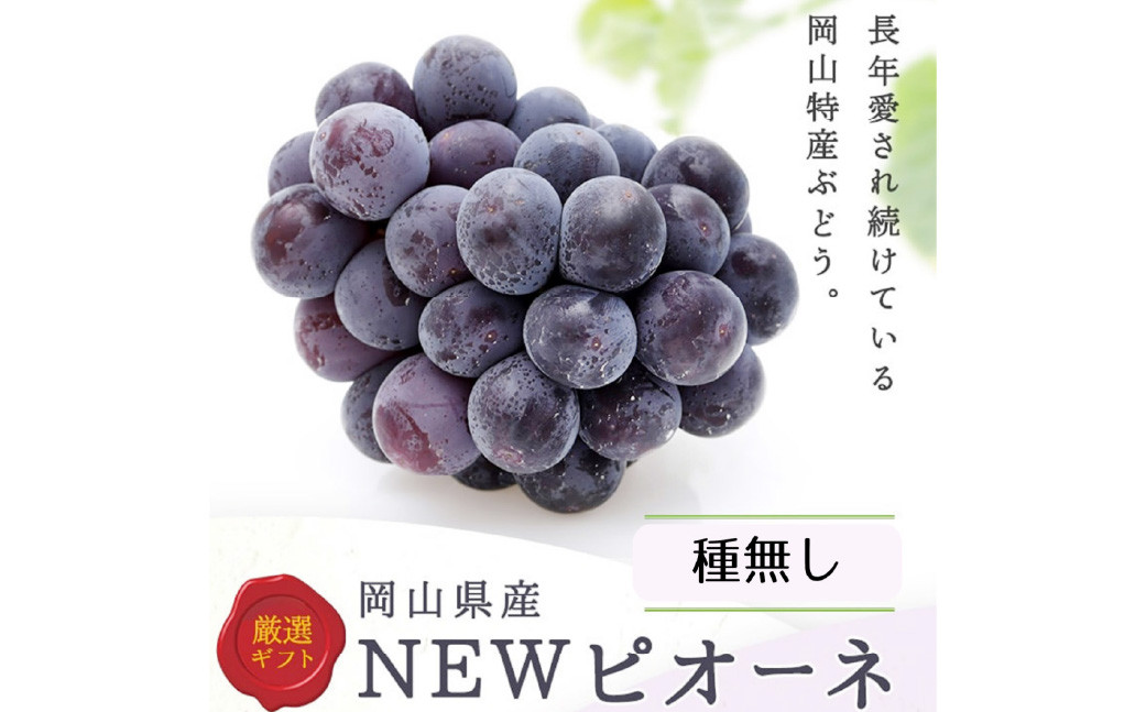 詰合 ニューピオーネ 2房 シャインマスカット 晴王 2房（1房各480g以上）計1.92kg以上 化粧箱入り