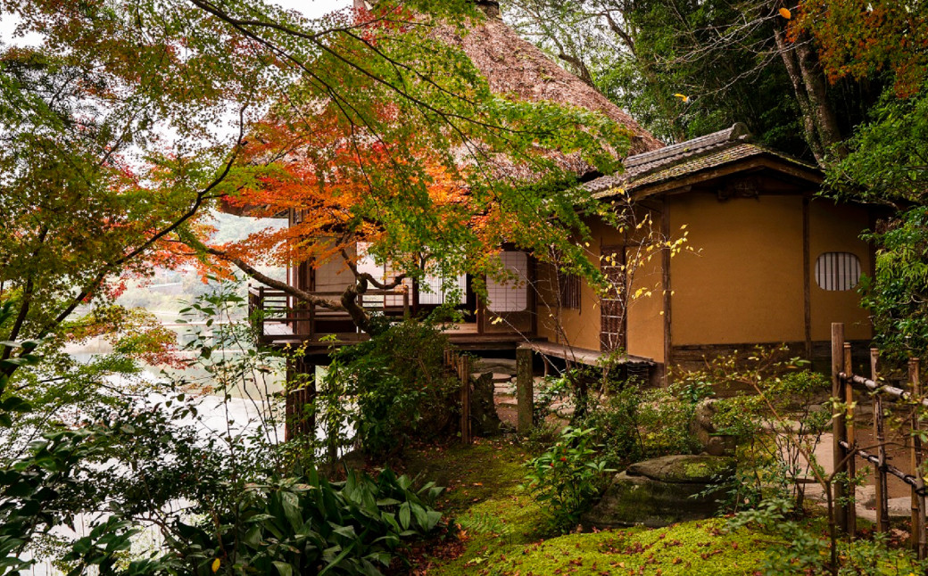 ”プライベートガイドと巡る” 臥龍山荘 と シネマ散策 「10名様」（805）