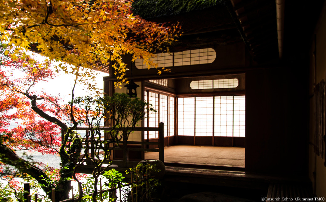 ”プライベートガイドと巡る” 臥龍山荘 と シネマ散策 「5名様」（800）