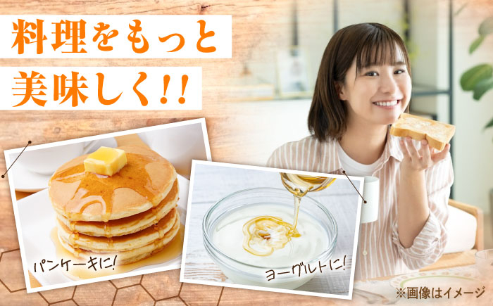 ふるさと納税 はちみつ 蜂蜜 ハチミツ 非加熱 純粋 国産はちみつ 生はちみつ