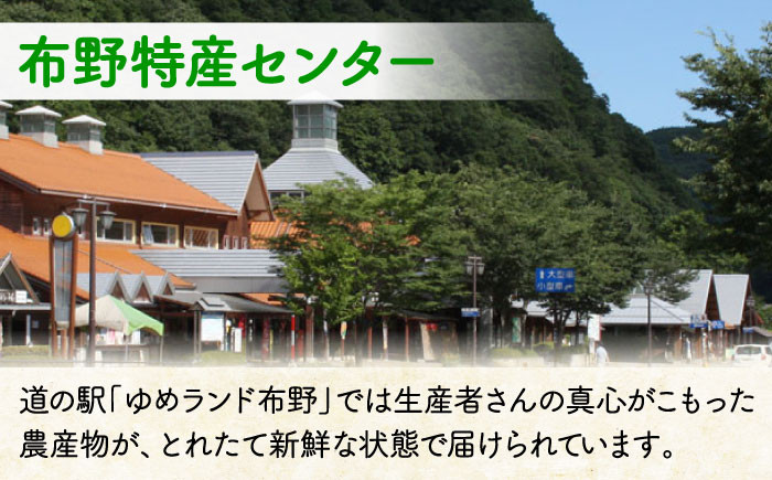 お米 米 ご飯 白米 おにぎり 米 コシヒカリ こしひかり 精米 おこめ こめ