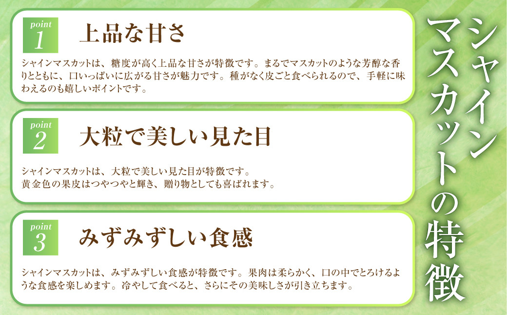 岡山県産 シャインマスカット「晴王」とニューピオーネ 3Lサイズ 計約1.2kg