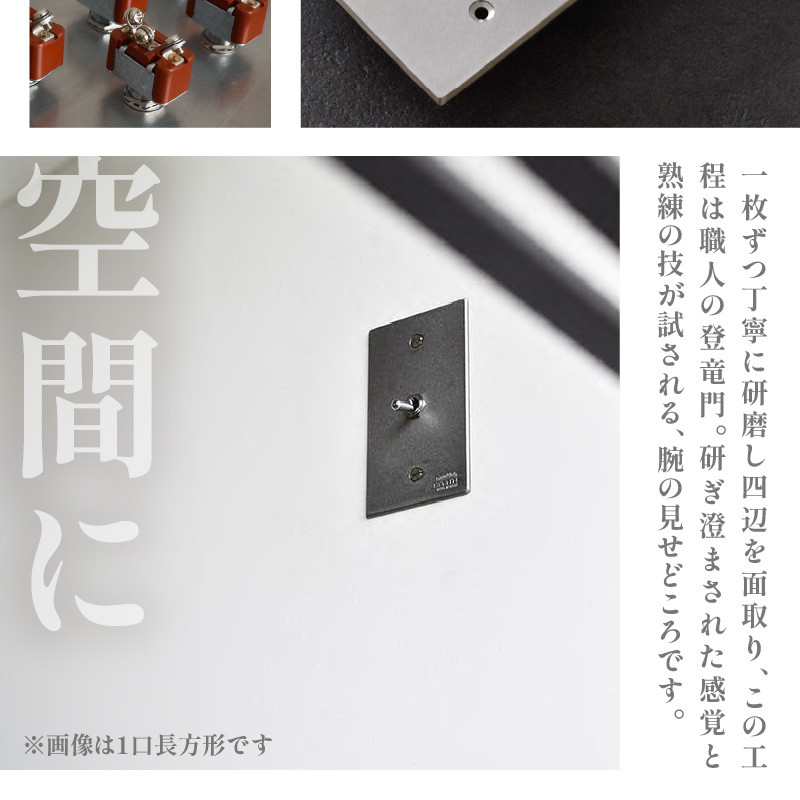 HITTITEのトグルスイッチJ(5口2列型・ステンレス)