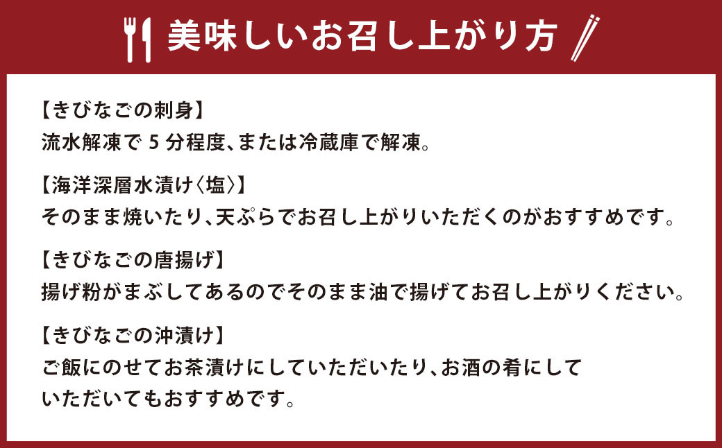  こしき島からの贈り物 甑の海 満喫セット