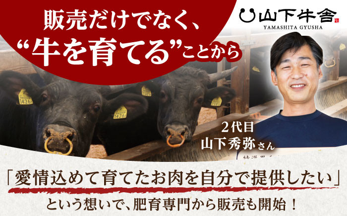 佐賀牛 ヒレ サイコロステーキ 1.0kg ( 250g×4パック )【山下牛舎】 [HAD037] 牛肉 フィレ ステーキ