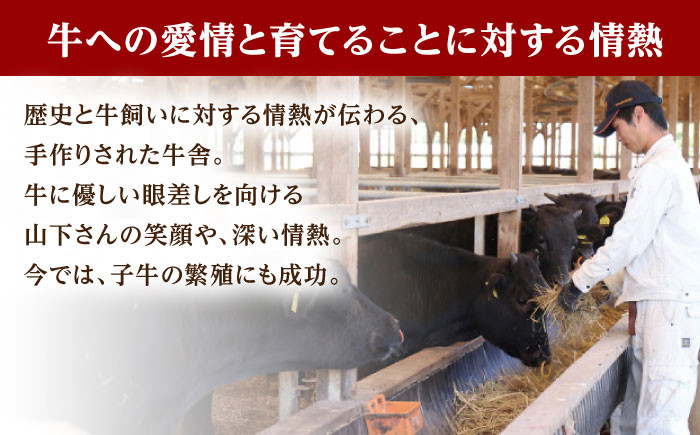 佐賀牛 ヒレ サイコロステーキ 1.0kg ( 250g×4パック )【山下牛舎】 [HAD037] 牛肉 フィレ ステーキ